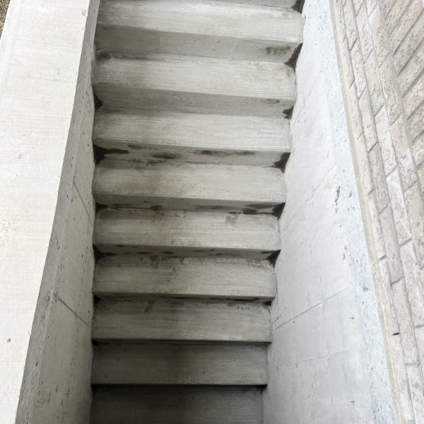 basement walkout stairs renovation
